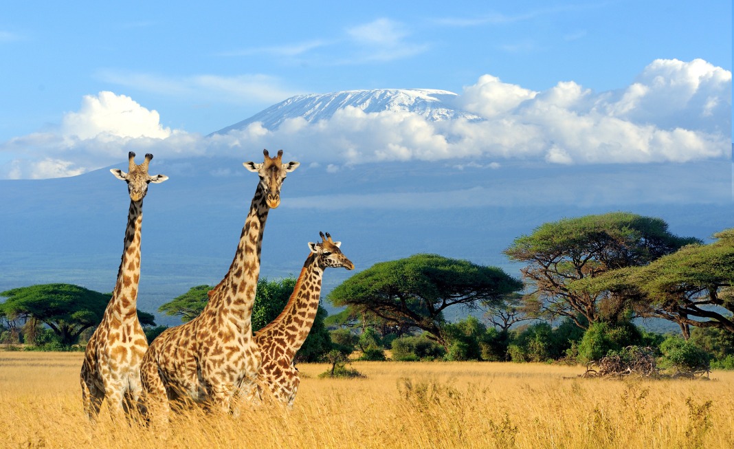 Kenija – laukinės gamtos lopšys Afrikoje