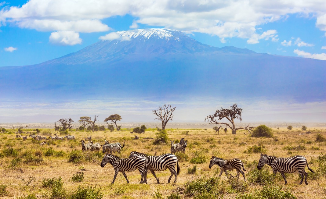 Amboseli nacionalinis parkas Kenijoje