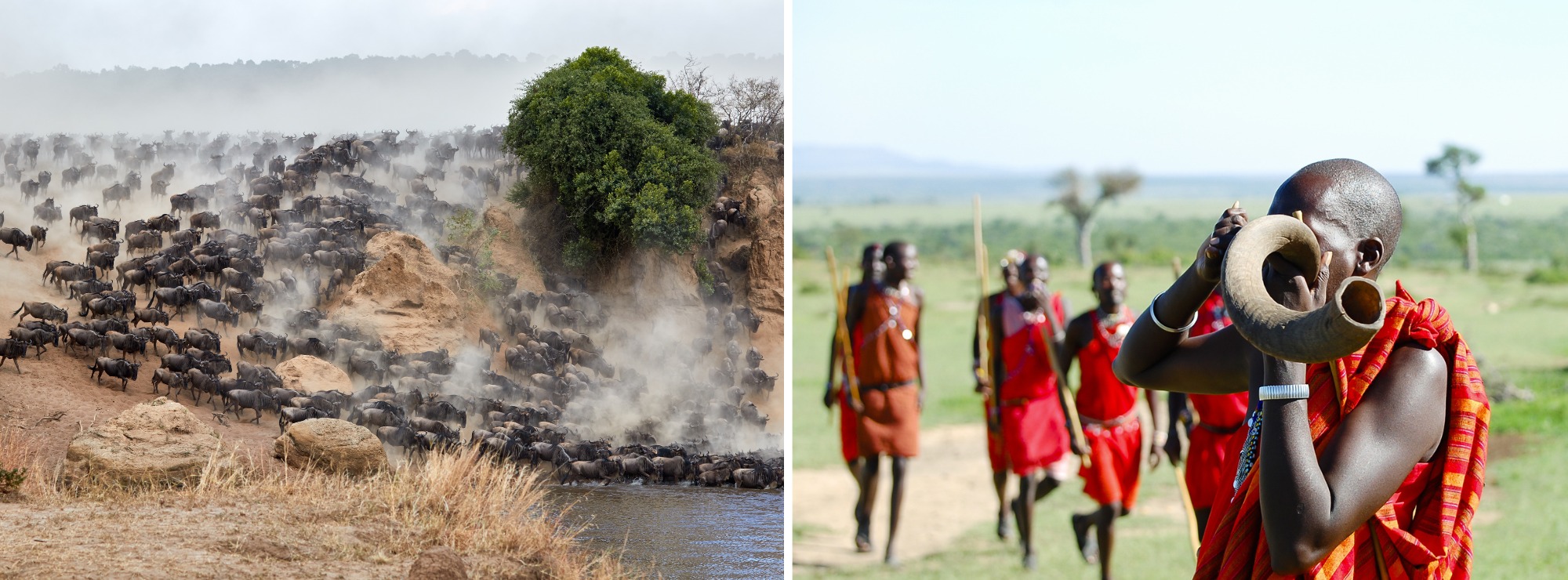 Masajų žemė – Masai Mara nacionalinis rezervatas