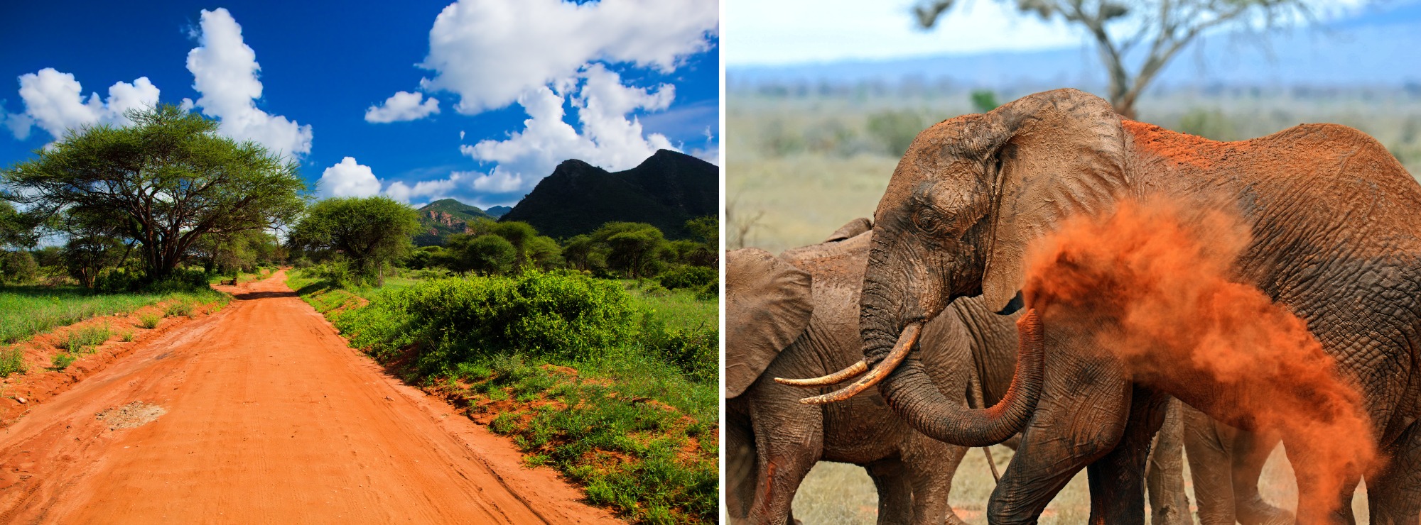 Tsavo nacionalinis parkas – didžiausias Kenijoje